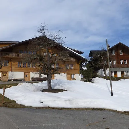 Apartment Haus Buhlen Grindelwald